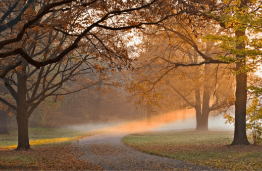 Screen Shot 2014-09-02 at 5.59.17 PM